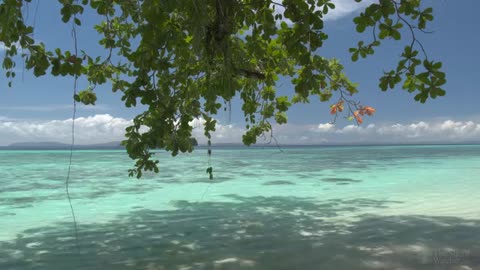 4K Tropical Beach - Ocean Wave Sounds - Relaxing Nature Video