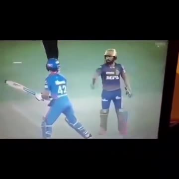 Cricket and we all paid it no mind for a minute or so.