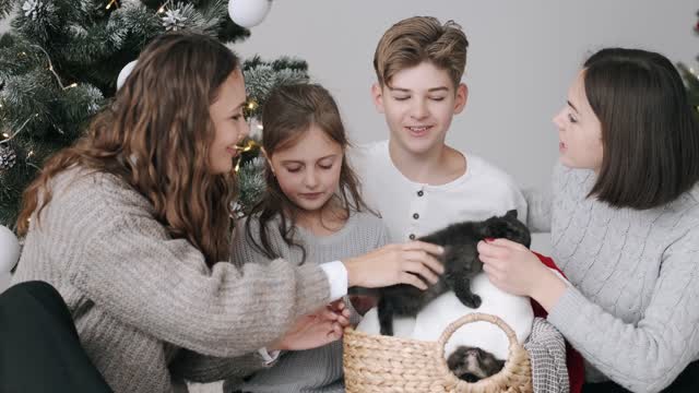 Family cares cat