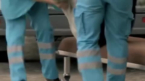 Unbelievable act