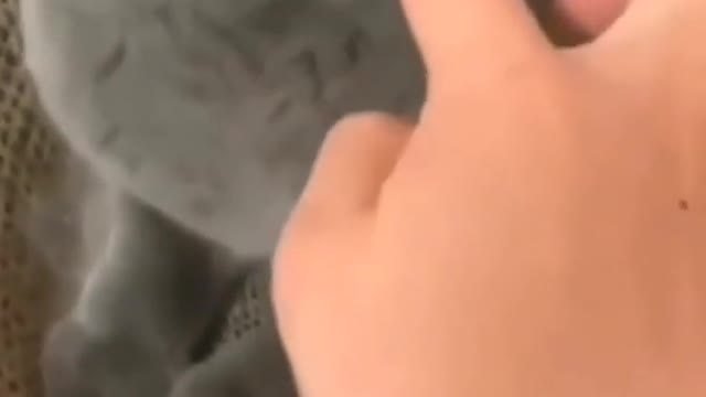 SO CUTE CAT 125_TRY NOT TO LAUGHππππ