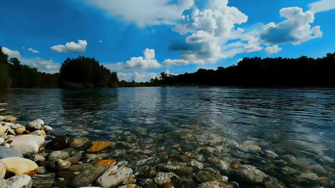 Beautiful Nature Video