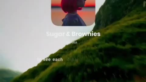 Sugar and brownies