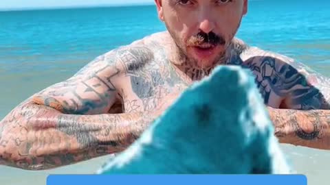 Cholo Attacks Shark