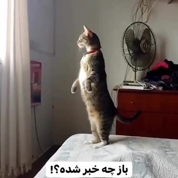 What is going on in the city?