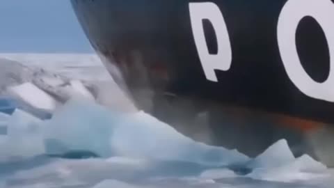 ⚓Gaviotas en tierra anuncian temporal fuera.⚓