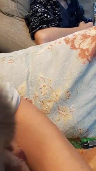 Koopur-our pet raccoon-Talking baby!