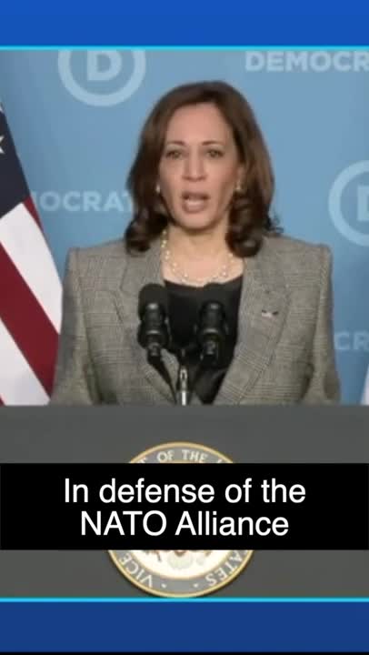 Are You Really That Stupid? | VP Kamala Harris