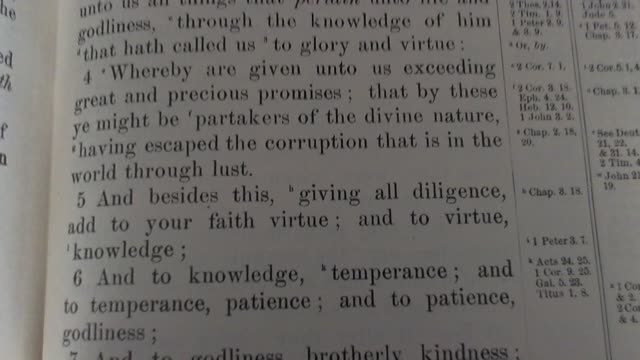 Virtue in service of the Kingdom