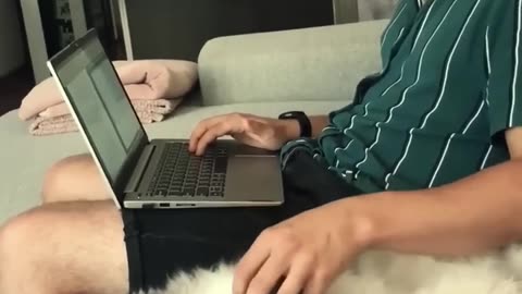 Funny animal video,#entertainment#enjoyment