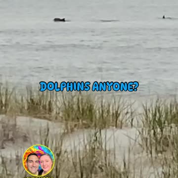 DOLPHIN SURPRISE!