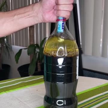 No Hyphelsis = No Expected Result