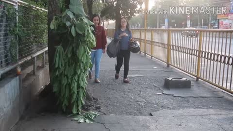 Bushman Prank Philippines