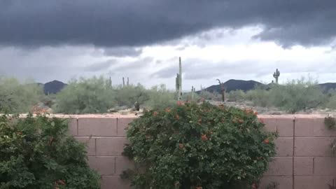 Desert storm time-lapse - 100 degrees & raining