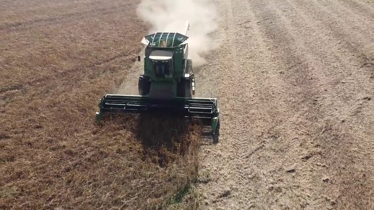 Soybean Harvest Frisco City Al