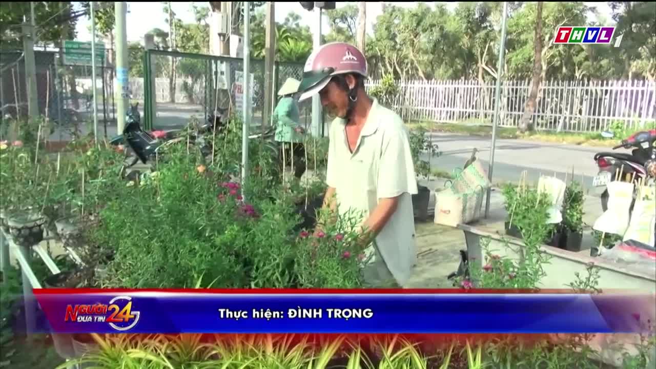 hoa thạch thảo