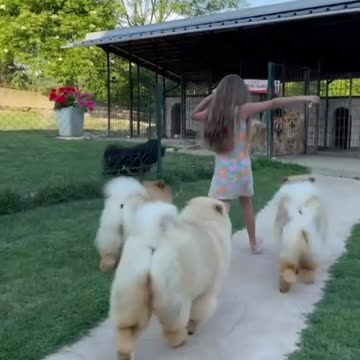 Who want him?🐶🐶🐶