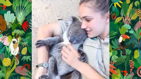 Tender animals 2