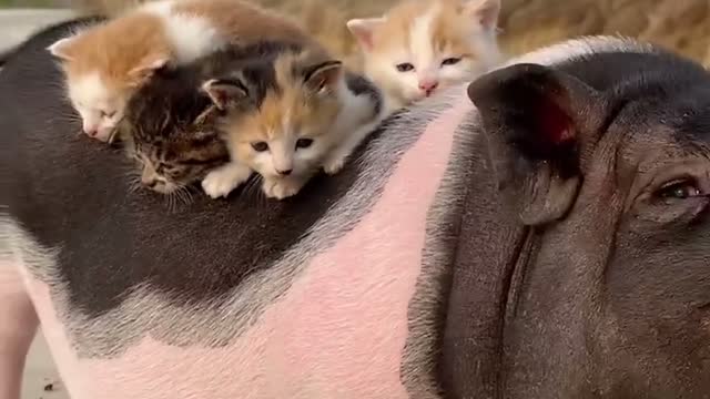 Hey what are you doing?