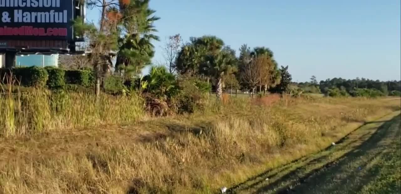 Intactivist Billboard on I-95 in Daytona Beach, Florida