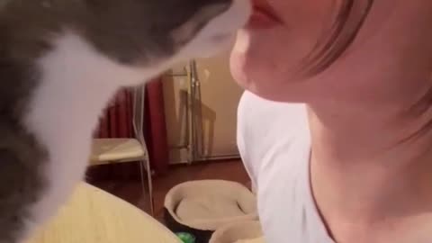 love and cat