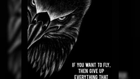 Project the 2nd amendment