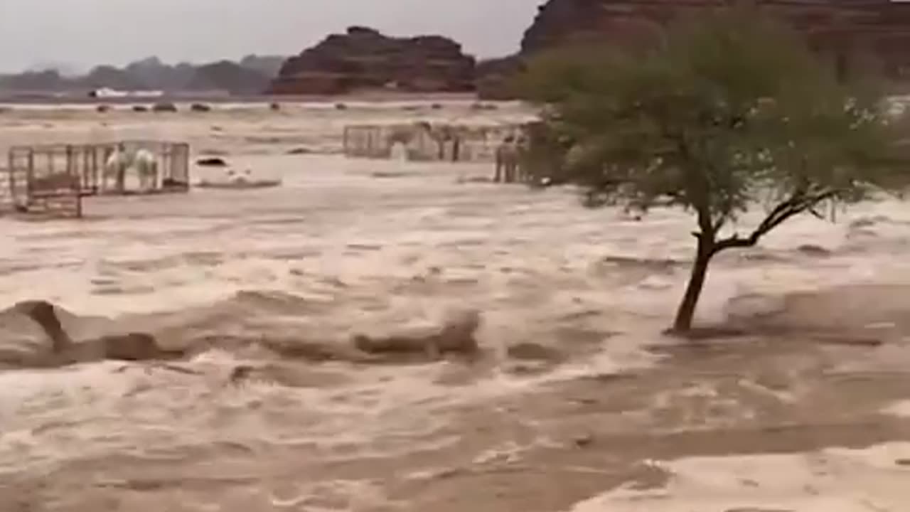 사우디 사막, 홍수.AVI