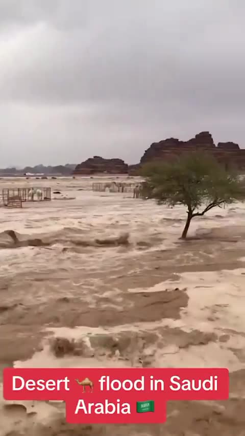 사우디 사막, 홍수.AVI