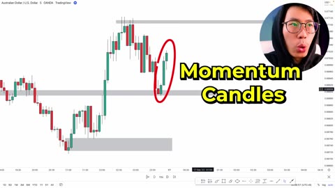 COMPLETE Supply & Demand Trading Course 🤑