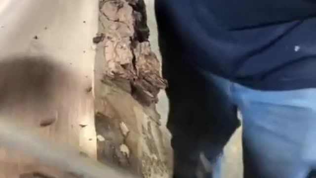 Wood working video#shorts