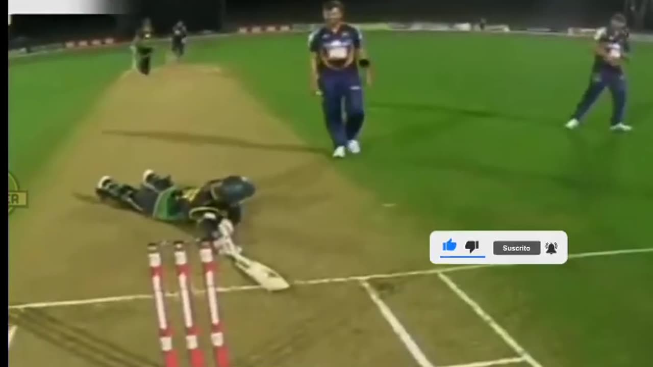 Viral cricket videos cricket highlights