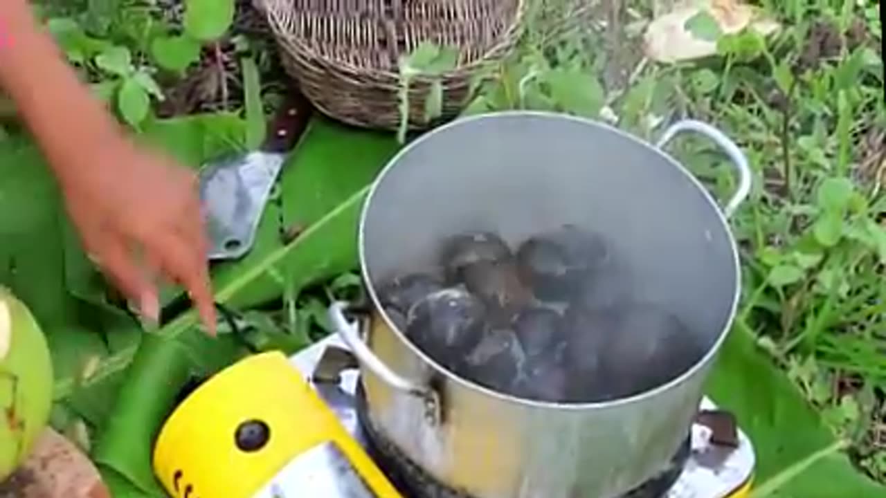 sexy girl cooking snail million views video