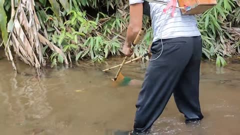 cari ikan di pinggiran kebun dapat banyak babon-12