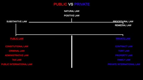 PUBLIC vs Private (Yusef El)