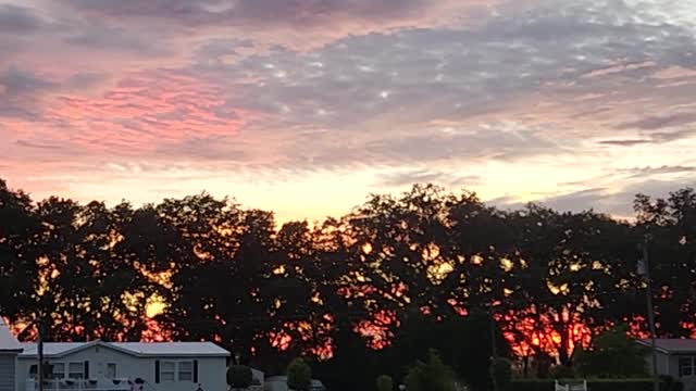 PRETTY SUNSET