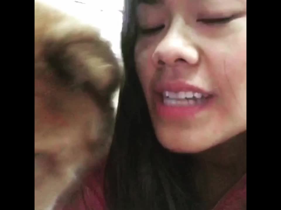 Who Says Chows Aren't Good Kissers?