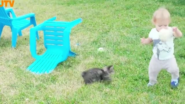 cute babies playing with funny cats