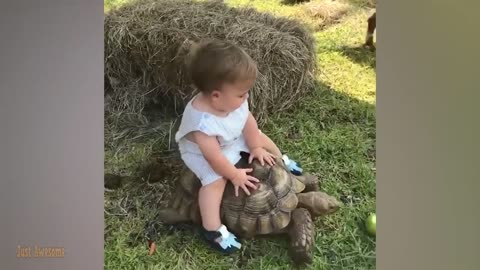 Funny Baby😍😆😆videos.Funny baby moments meet with Animals