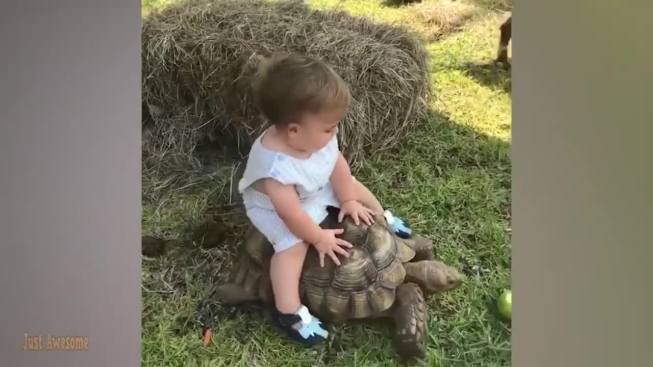 Funny Baby😍😆😆videos.Funny baby moments meet with Animals