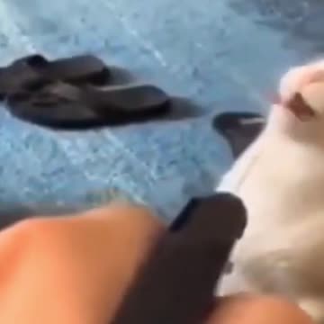 kittens and puppies sketches 2021