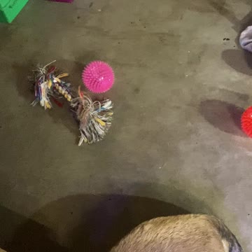 German Shredder Melenator