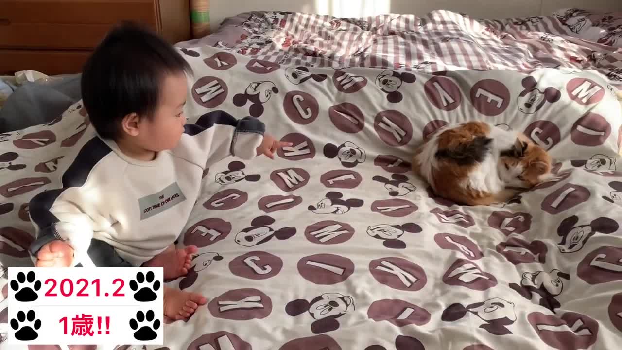Until the child is born and turns 1 year old [