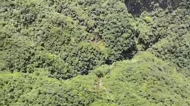 beautiful mountain