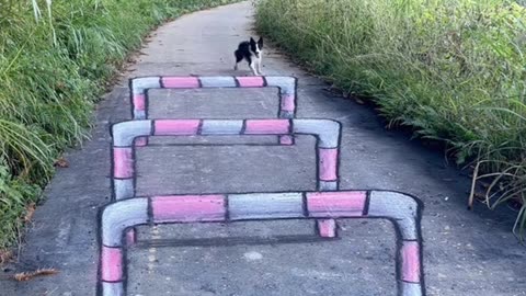 STREET ART ILLUSIONS 3D artworks #IllusionArt #art #drawing #shortvideo