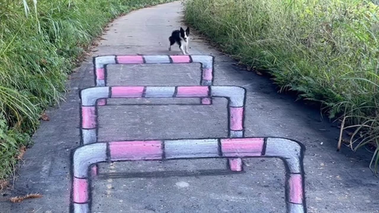 STREET ART ILLUSIONS 3D artworks #IllusionArt #art #drawing #shortvideo