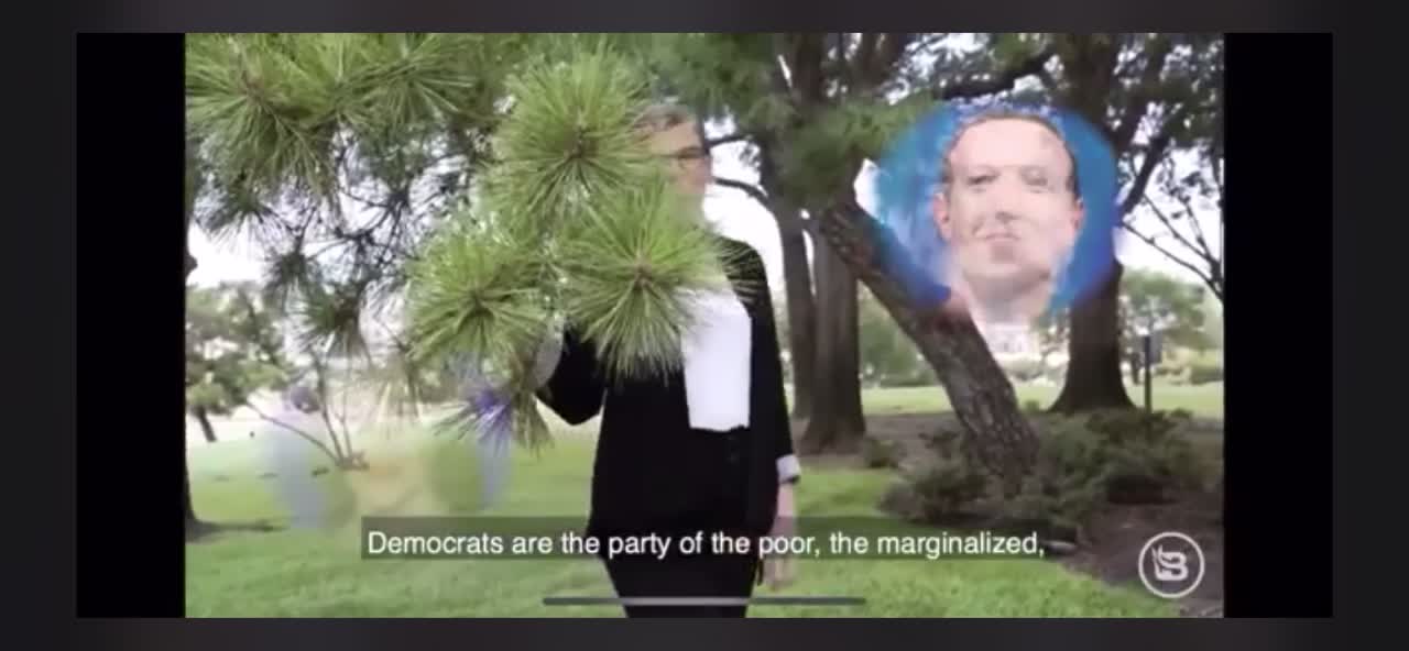 Satire: 2020 Democrat spokes person