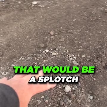 Lawn Detective - What's Causing These Brown Spots (irrigated lawn)