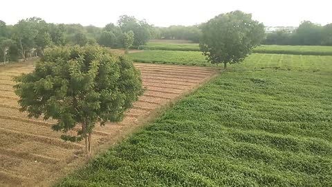 Rain in india