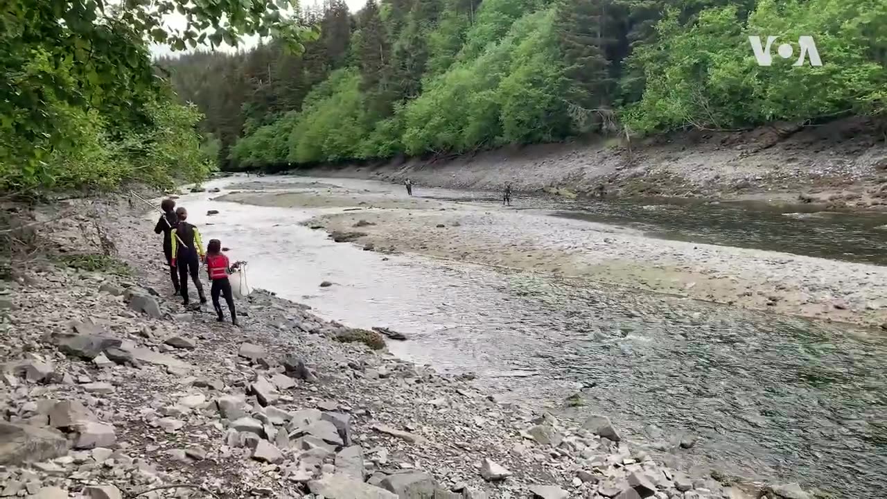 Nature: Fishing for Salmon | VOA Connect