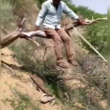 funny video funny memes comedy video funny fails funny video 2024